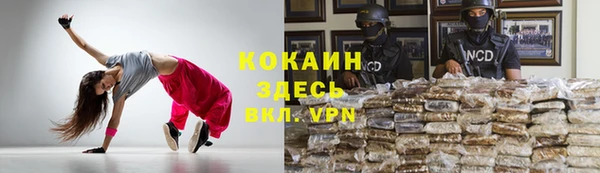 тгк Алексин