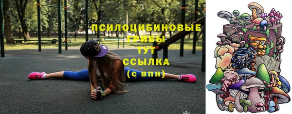 тгк Алексин