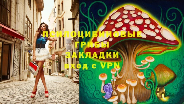 молекула духа Алексеевка