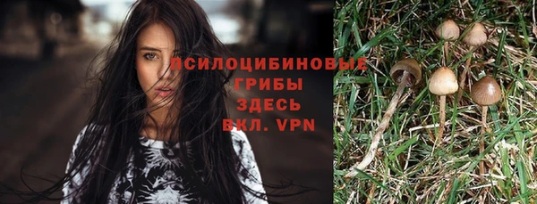 молекула духа Алексеевка