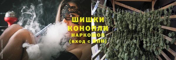 молекула духа Алзамай