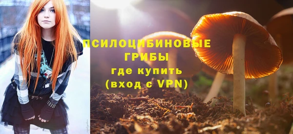 молекула духа Алексеевка