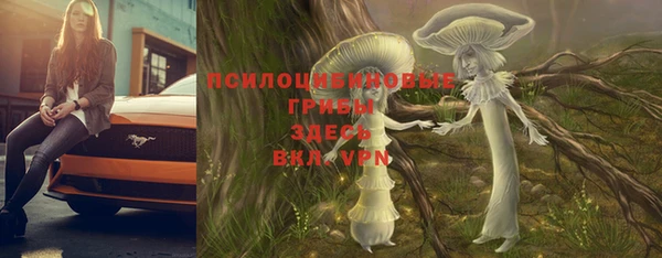 тгк Алексин
