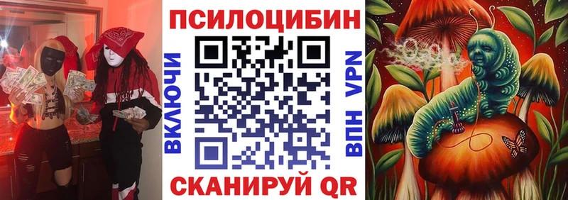 купить закладку  Лукоянов  Псилоцибиновые грибы Cubensis 